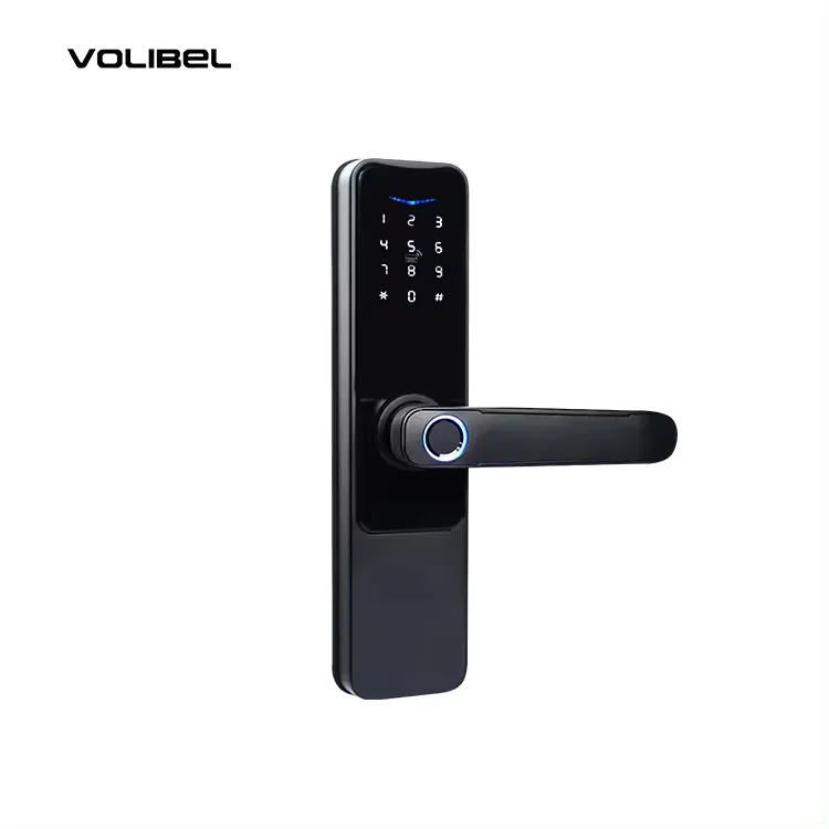 L19 Rechargeable Smart Fingerprint Door Lock - ছবি 6