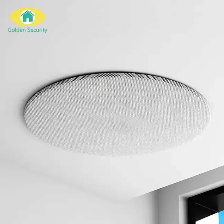 High-Quality Wireless Ceiling Slave Master Speaker with BLE