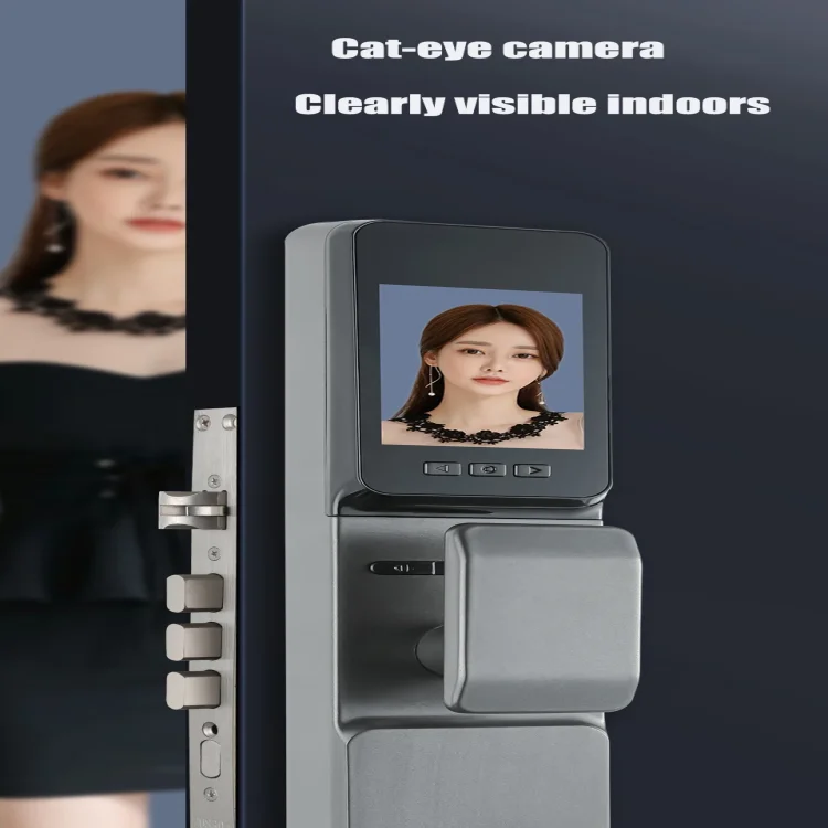 L25 WiFi Smart Door Lock with HD Peephole Camera & Biometric Access - ছবি 2